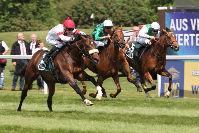 Ladoro siegt unter Michal Abik