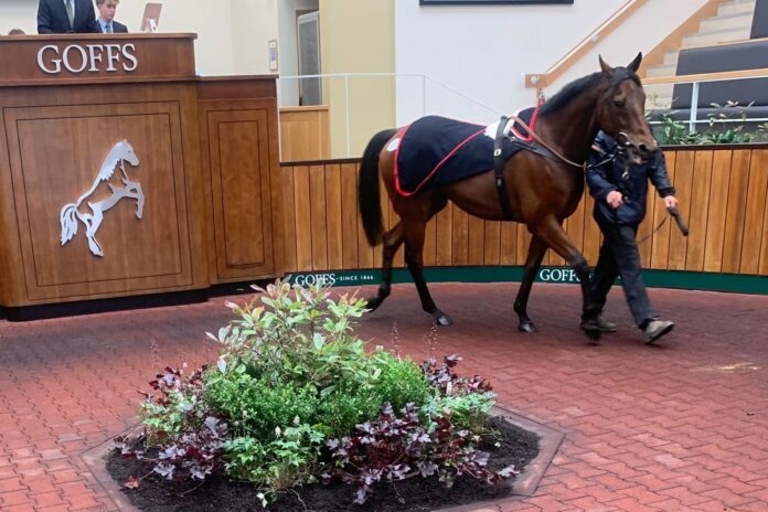 Mitchouka Foto: privat Mitchouka Foto: privat