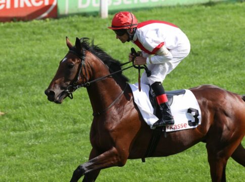 "Alles gut weggesteckt" - Ittlingen-Duo jetzt nach Hamburg Narrativo