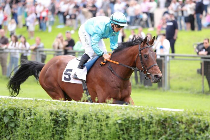 Why Limit siegt unter Bayarsaikhan Ganbat