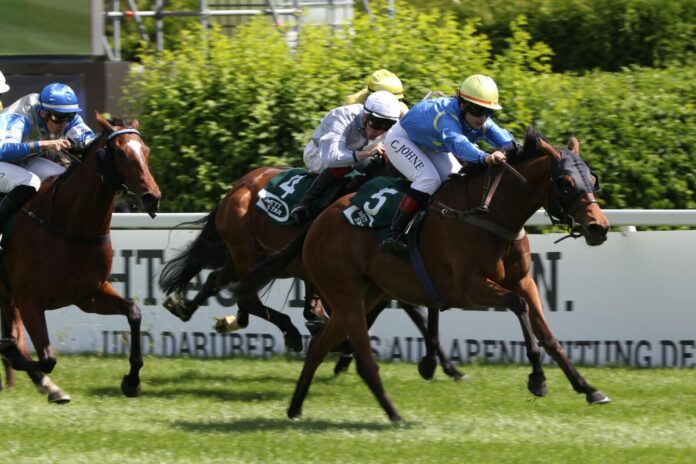 Northern Starlet siegt