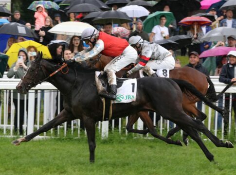 Nach Streichung - Sechs verbleiben im Sauren Dachfonds Preis Augustus siegt unter Michal Abik