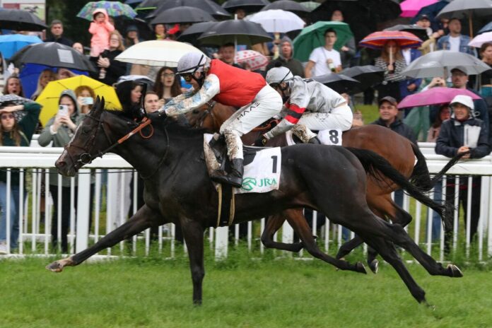 Augustus siegt unter Michal Abik im Japan Racing Association Derby-Trial, Gr.3 Augustus siegt unter Michal Abik