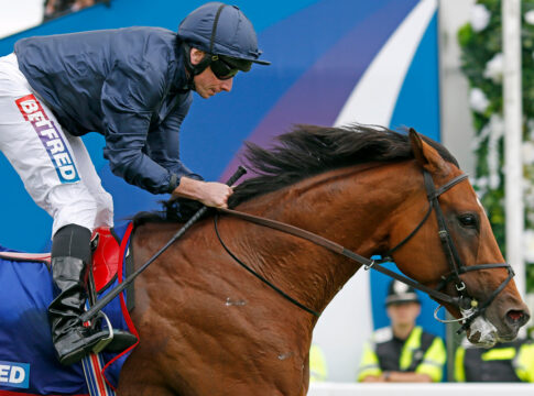 Neu-Stallion City Of Troy shuttelt nach Australien City Of Troy Foto: racingphotos.com