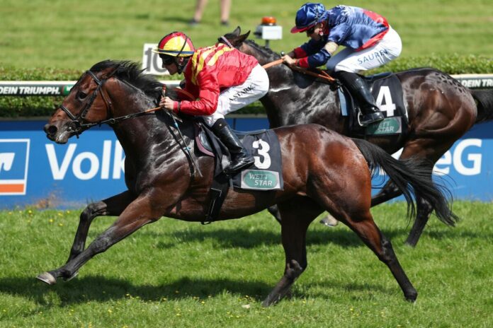 Pacharan siegt unter Andrasch Starke