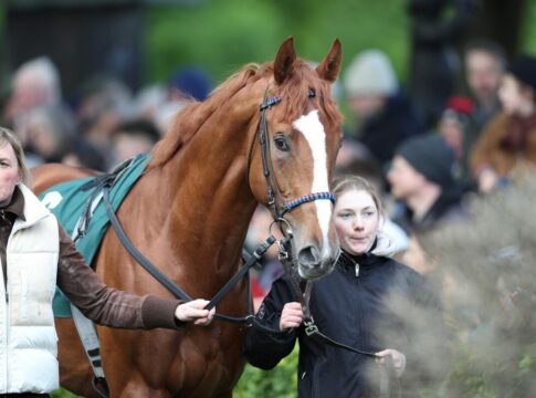 Drei Top-Pedigrees: Toll besetztes Sieglosenrennen in München Northern Olympian