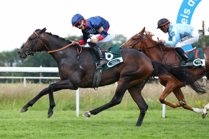 Penalty siegt unter Thore Hammer-Hansen im 35. Großen Preis der Wirtschaft Penalty siegt unter Thore Hammer-Hansen im 35. Großen Preis der Wirtschaft