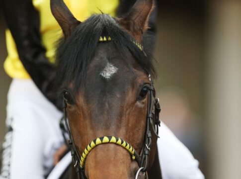 Hansa-Preis-Favorit - Queimados ist nun bereit für Hamburg Queimados