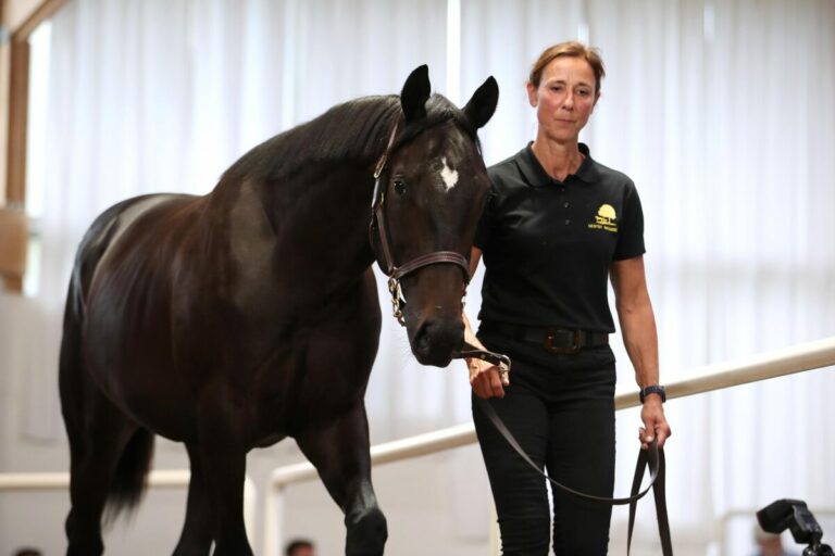 Brümmerhofer vor Ullmann-Hengst – Ein anderer gewinnt