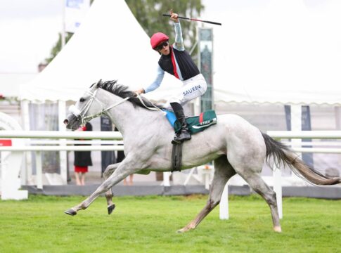 Three Havanas am Samstag mit erstem USA-Start Three Havanas siegt unter Thore Hammer-Hansen in der Sparkasse Holstein Cup (Hamburger Stuten Meile), Gr.3