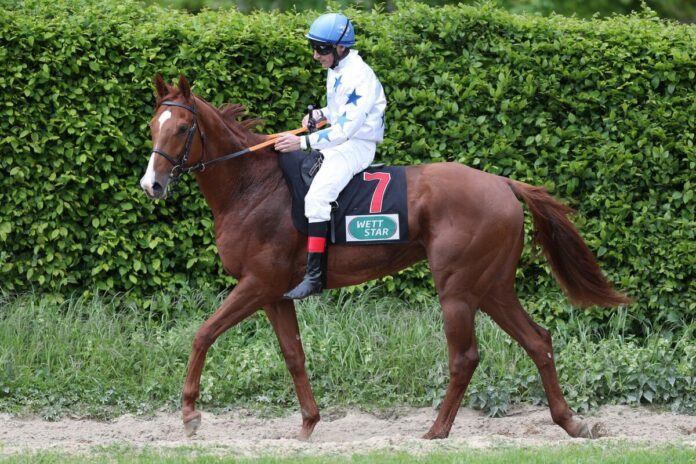 Wonderful Boy Wonderful Boy