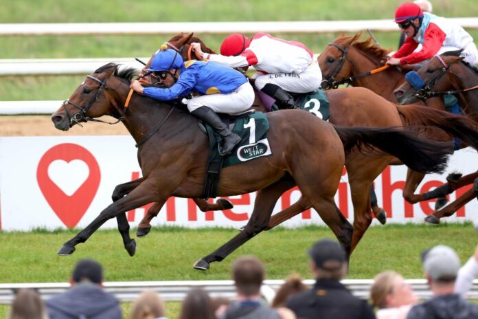 Fantastic Moon Fantastic Moon