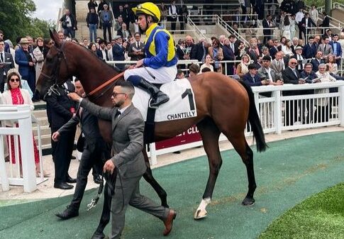 28 Gruppe I-Sieger für Hong Kong genannt - Goliath im QEII Cup? Goliath (Archiv)