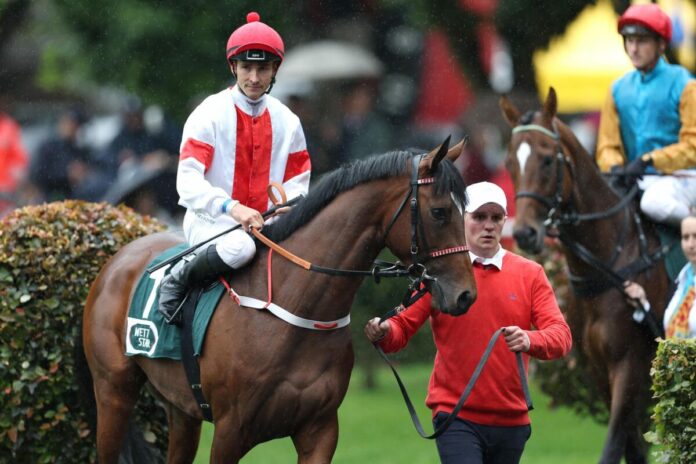 Alleno unter Rene Piechulek