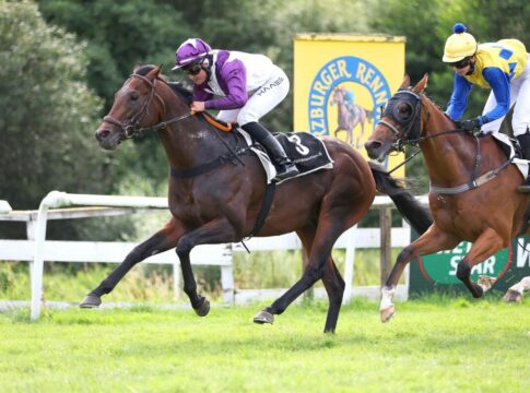 Einer weg, zwei dazu: Jetzt 14 in 47. Kronimus Badener Meile Big Secret