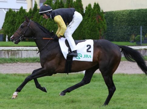 Columbus nachgenannt – Aktuell acht im Europa-Preis Columbus