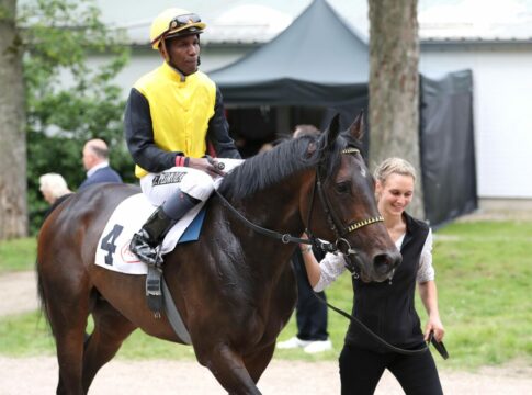 Trendbarometer: Welche einstige Derby-Hoffnung startet 2025 durch? Queimados