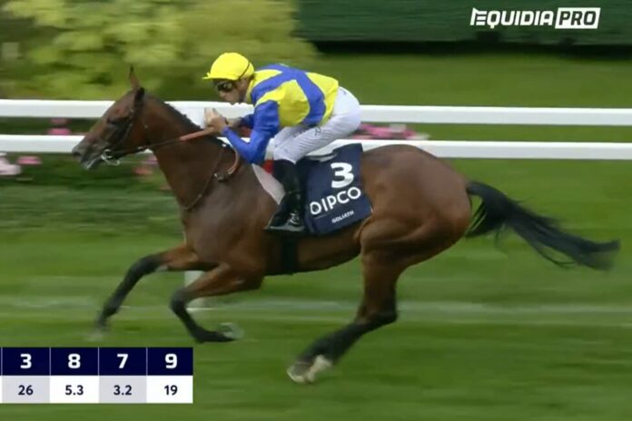 Goliath Goliath (Screenshot Equidia)