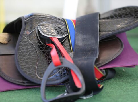 Nichtstarter - Update mit weiterem Nichtstarter und Reiterwechseln Bild Nichtstarter