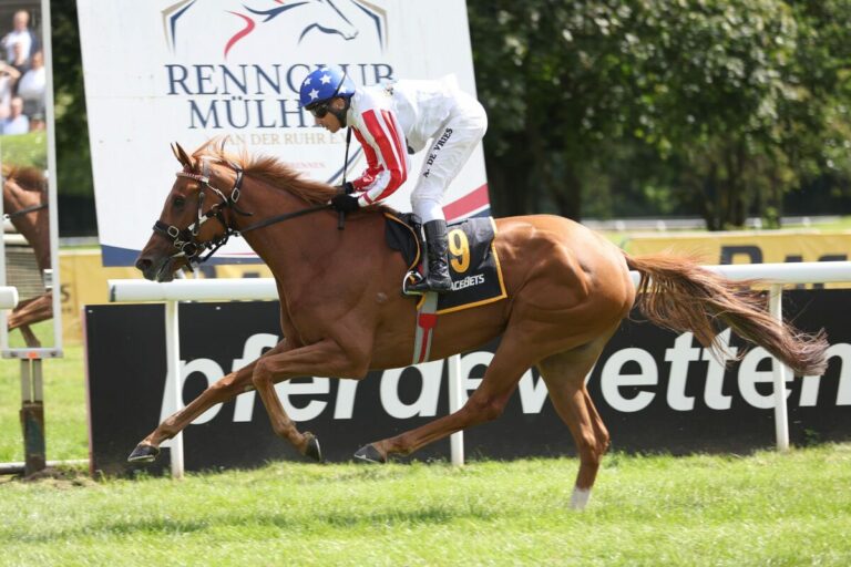 Der Toto hatte gesprochen: Franky’s Dream für Kleinkorres