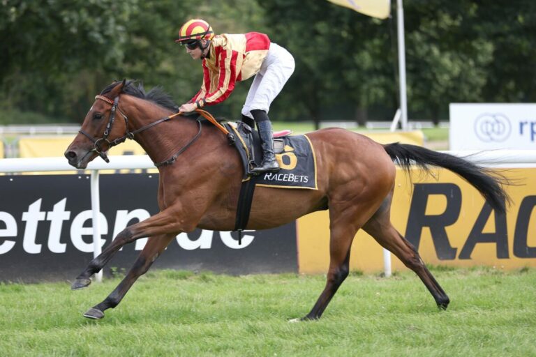 Vovcenko als nicht Mülheimer – Millionaire im Ausgleich II