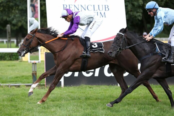 Avola siegt unter Bauyrzhan Murzabayev