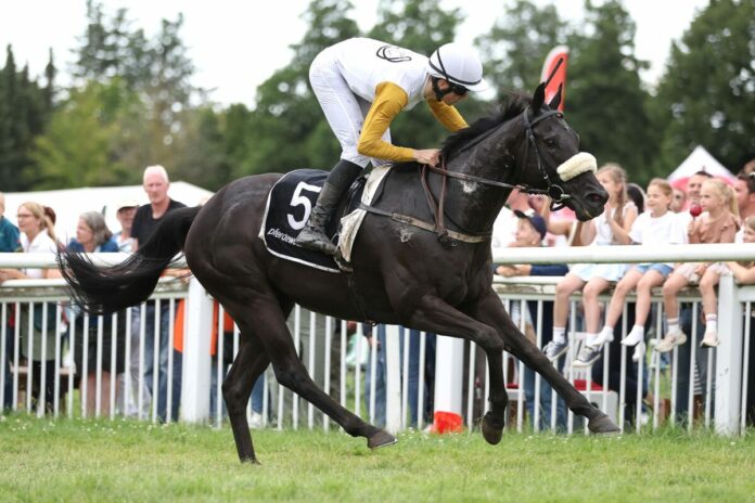 Powerstown siegt unter Robin Weber