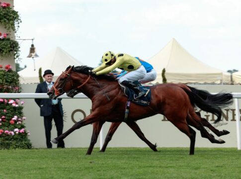 Rosallion (Racingfotos.com)