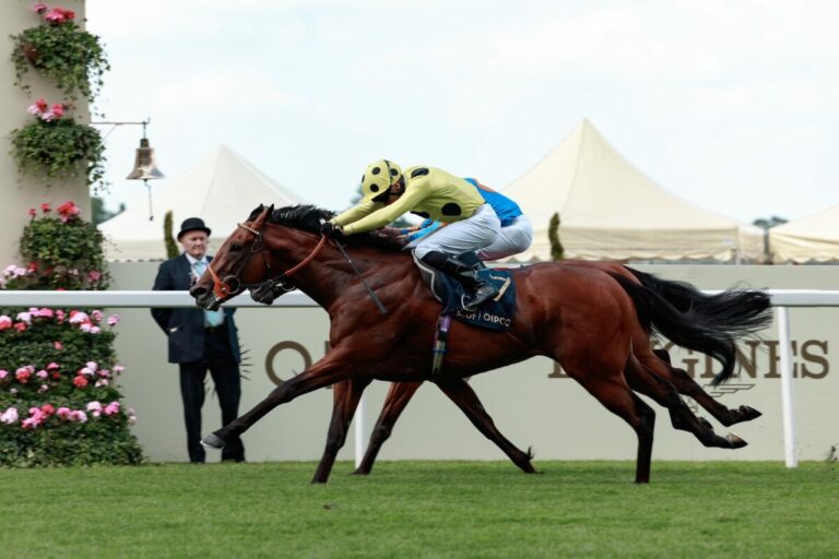 Rosallion (Racingfotos.com)