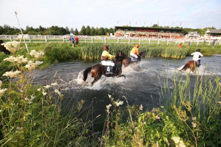Am Sonntag steht natürlich der See im Mittelpunkt