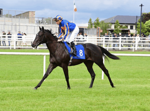Deutsche Zucht-Hoffnungen im Prix Niel Swagman (Foto: healyracing.ie)