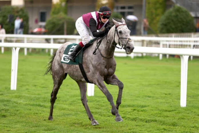 The Donald siegt unter Vanessa Wutke The Donald siegt unter Vanessa Wutke