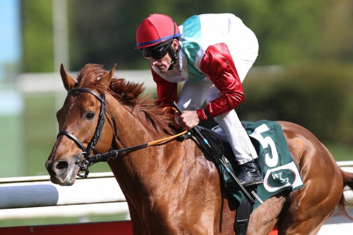 Tünnes (Archiv) Tünnes (Archiv)