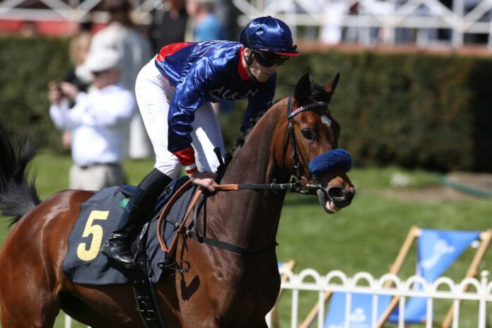 Fang Mich (Archiv) Fang Mich (Archiv)