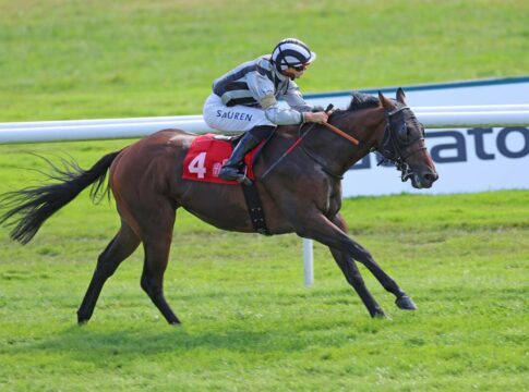 Thunderheart vorne - Smrczeks Urlaubsform hält an Thunderheart siegt unter Thore Hammer-Hansen