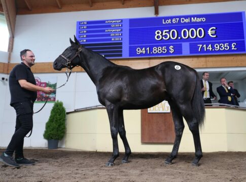 Gruppe II-Nennung für BBAG Rekord-Seller Del Maro Del Maro bei der BBAG