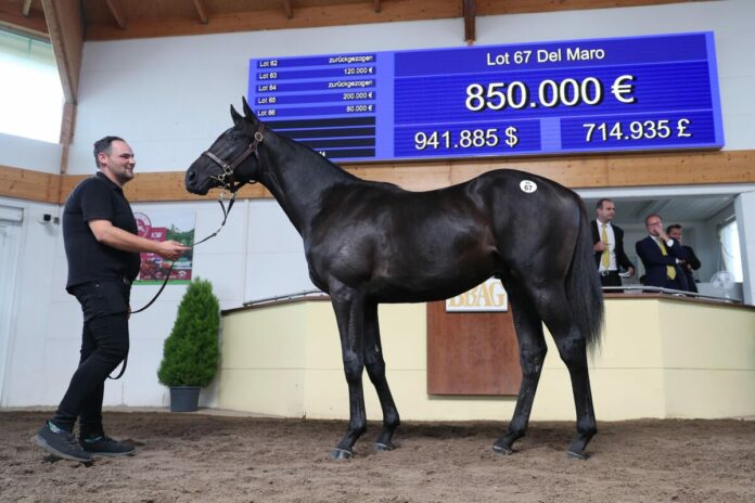 Del Maro bei der BBAG Del Maro bei der BBAG