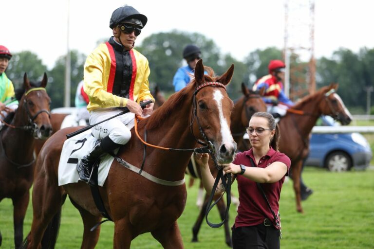 Das längste Rennen Dresdens wird am Samstag ausgetragen