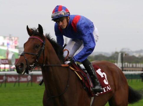 Baden-Zweiter auch Down Under Zweiter: Dubai Honour hinter Via Sistina Dubai Honour