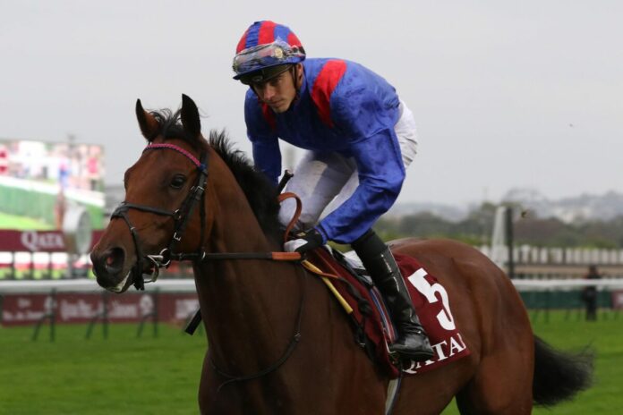 Dubai Honour Dubai Honour