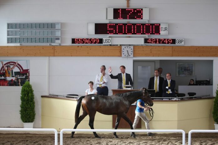 BBAG-Topseller N.N. a.d. Estefania