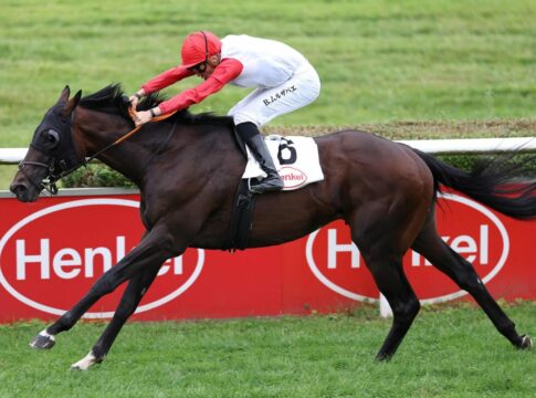 Als Riesenaußenseiter: Geography Zweiter im Prix Messidor Geography