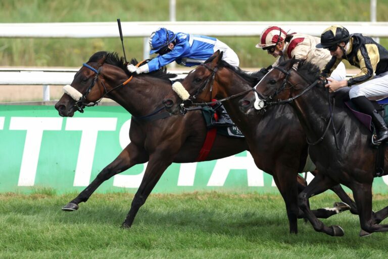 Ricupa schlägt den Ausbilder – Emjaytwentythree vor Luzum