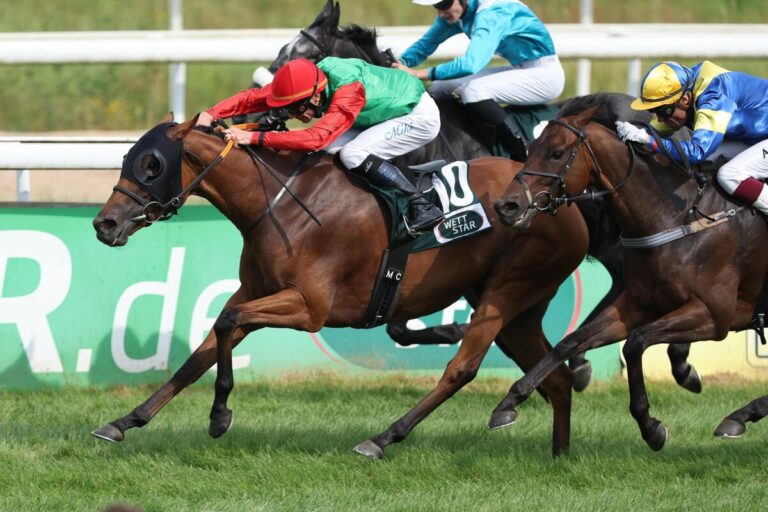 Erfolg für die Niederlande: Jonkharts Crocus in der Viererwette vorne