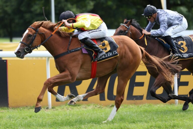 Sieben Zweijährige bringen sich für die Zukunft in Stellung