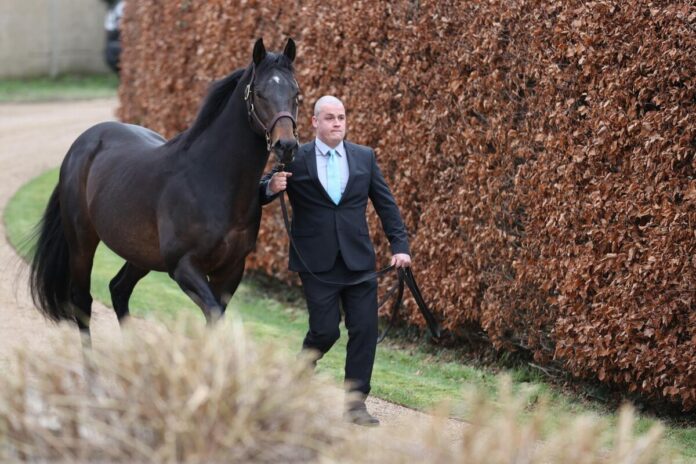 Millowitsch Millowitsch