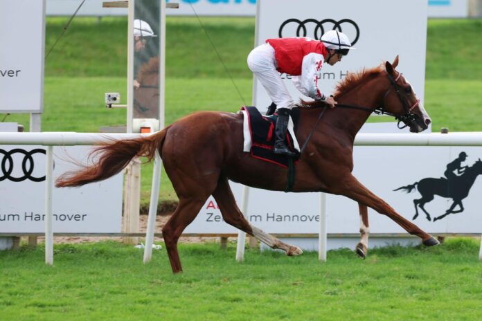Sommersby siegt unter Jozef Bojko