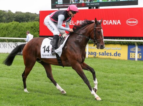 Spanish Eyes Zweite auf Gruppe II-Niveau - Rennfilm im Beitrag Spanish Eyes