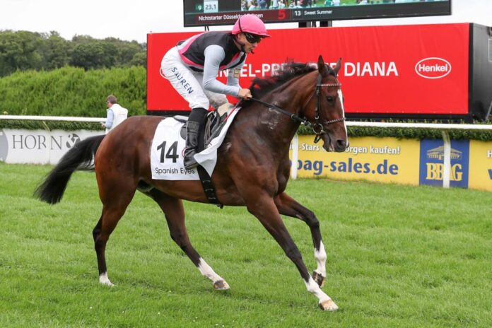 Spanish Eyes (Archiv) Spanish Eyes