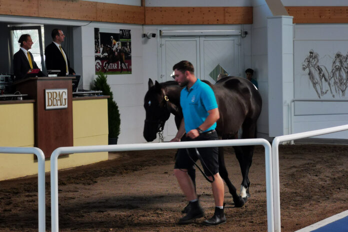 Tailwind im Ring der BBAG Tailwind im Ring der BBAG